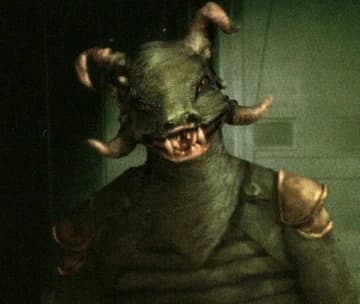 Species illustration